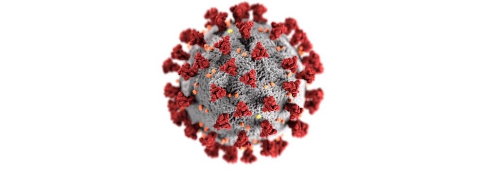 Darstellung des Coronavirus